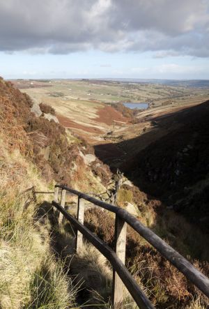 ponden moor 17 sm.jpg